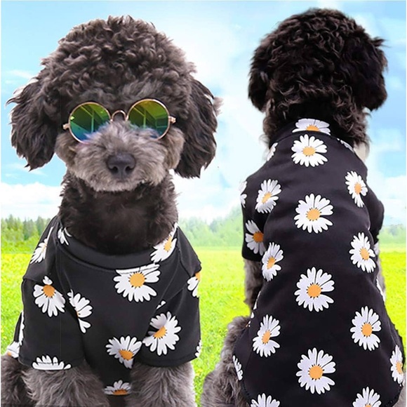 WEYATO daisy dog/cat shirt..(NWT)black - Picture 2 of 7